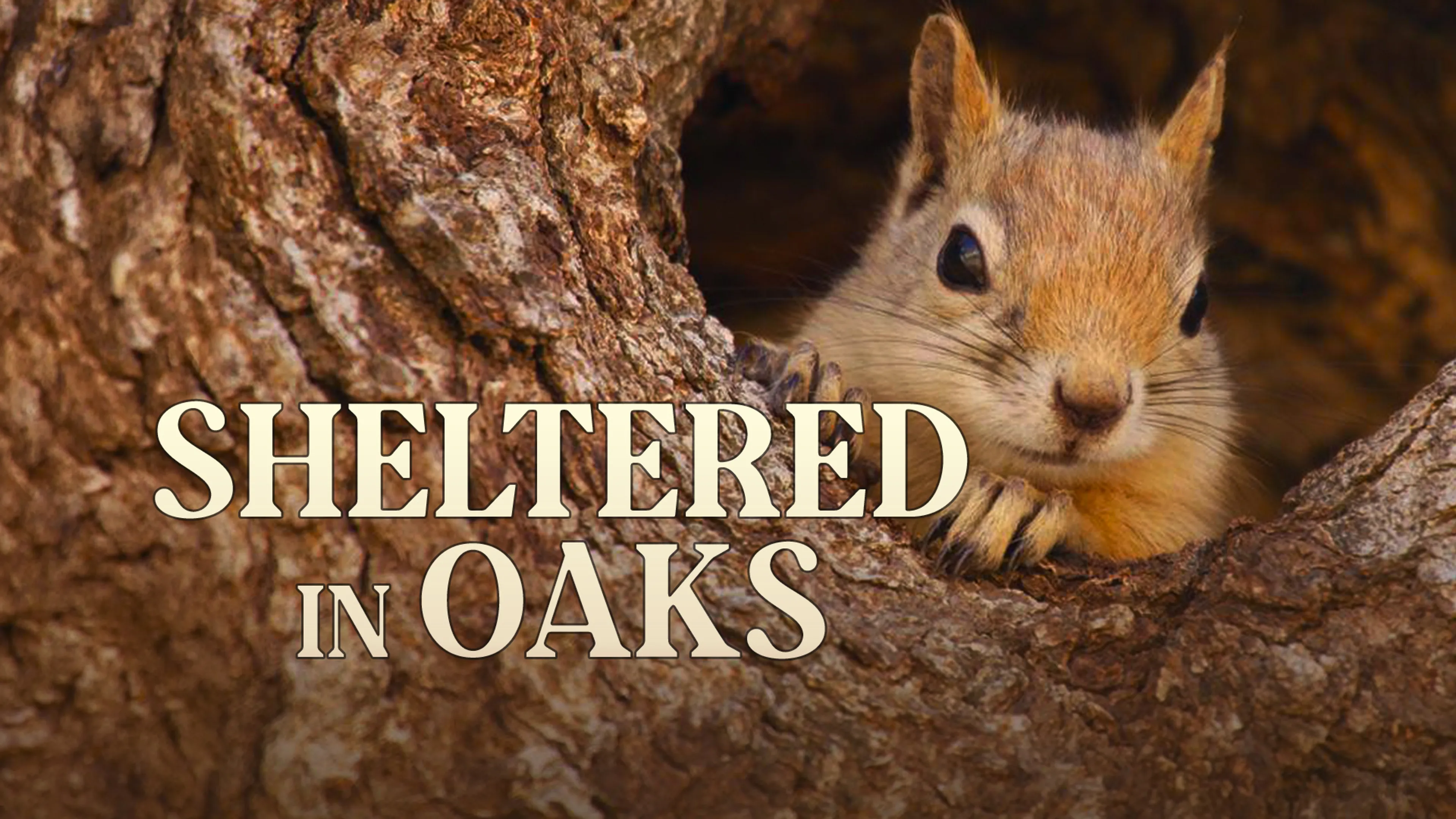 Title poster image